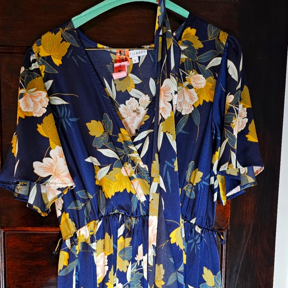 Baltic Born Dress